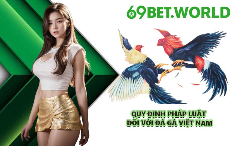 Quy định pháp luật đối với đá gà Việt Nam